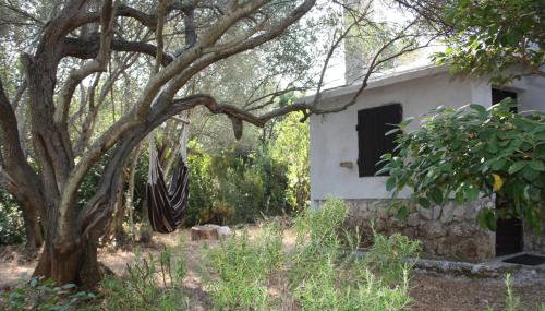 Secluded fisherman's cottage Cove Nevidjansko Polje, Pasman - 11392 - Foto 4