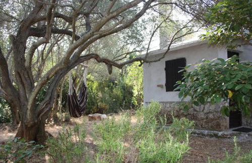 Secluded fisherman's cottage Cove Nevidjansko Polje, Pasman - 11392 - Photo 4