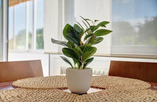 Camino Pamplona 3 by Clabao - Photo 10