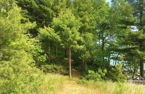 Beachfront~Private Sand Beach~Close Mackinac Ferry - Foto 51