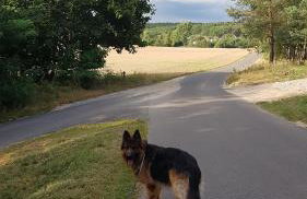 Dom Na Skarpie - Ucieczka Na Wieś - Samodzielne wejście na szyfr, 100m2 - Foto 35