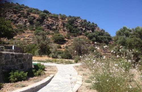 Loutra Olive Gardens Stone House #1 - Foto 15