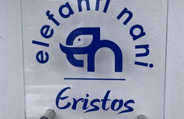 Elefanti Nani - Foto 62