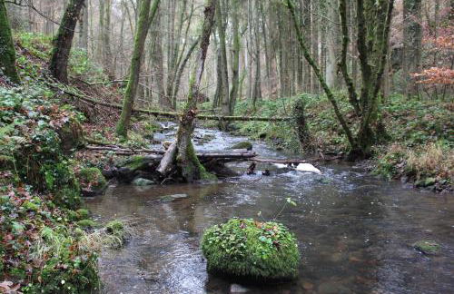 Gästehaus Herrenmühle - Foto 18