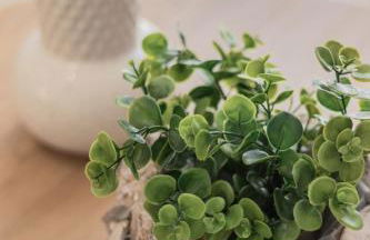 Hara's house - Foto 20