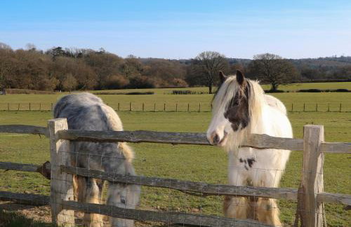 The Cowshed - Foto 2