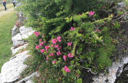 Casadelsale - Foto 14