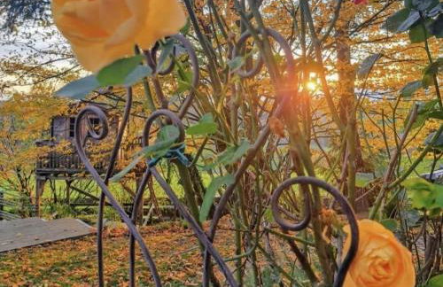 Bernhardsberg - Foto 38