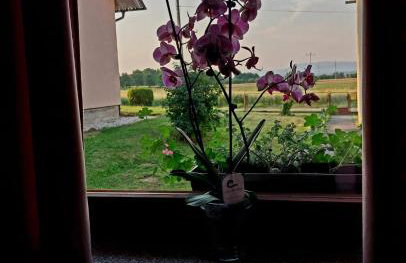 Apartman Rita - Foto 40