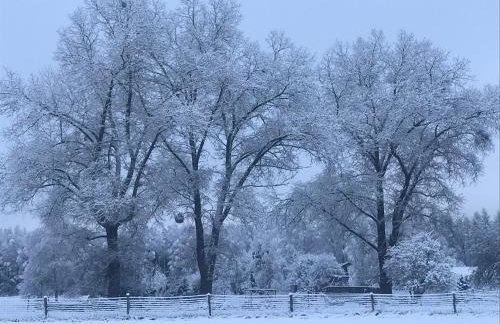 Domek Walentinki - Foto 41