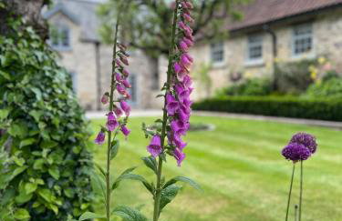 Starre Barn - Foto 58