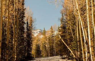 Eagle Point Ski Resort 10 Wooded Ridge Condos - Foto 12