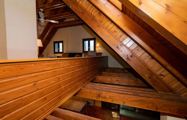 Herbasabina - Foto 34