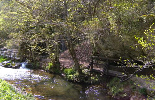 Ferienhaus - Vakantiehuis, Ferienwohnung, 100 qm, Rollmann, 54578 Nohn, Eifel- Nürburgring - Foto 16