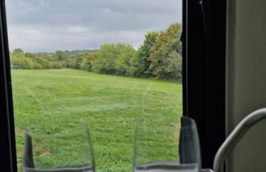 Delightful cabin retreat wrapped by natural beauty - Photo 2