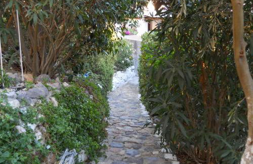 Yvonni Studios - Foto 30