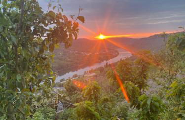 Apartment an der Mosel 1 - Foto 30