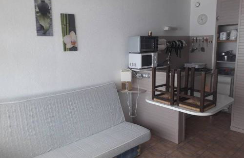 Studio confortable avec balcon et casier à skis, 4/6 personnes, au pied des pistes - FR-1-602-40 - Foto 6