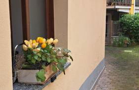 Ermele's Green House - Foto 51