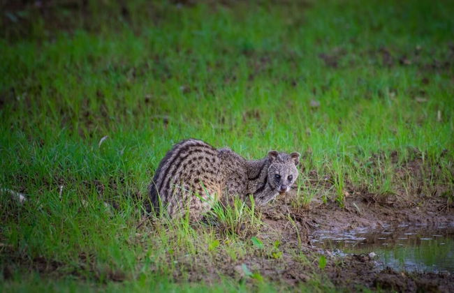 maya tangalle - Photo 24