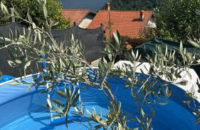 Scintille Degli Dei - Foto 18