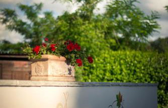 Agriturismo Villa Le Vigne - Foto 57