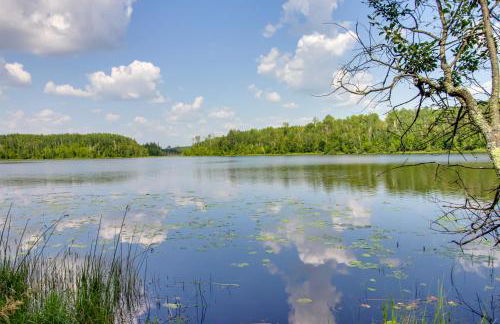 Nashwauk Studio with Ice Fishing on South Fork Lake - Foto 28