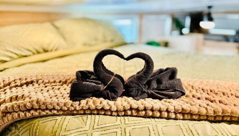 Couple’s retreat in Tiny Home w soaking tub/beach - Foto 3, Other