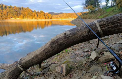 Brama Sanu - z prywatną linią brzegową Jeziora Solińskiego - pomosty - pontony - basen sezonowy - Foto 74