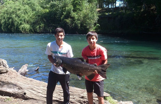 Cabana En La Pradera Lindo Paisaje En Pucon - Foto 19