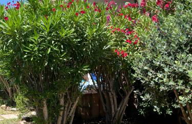 Bilocali Residenza Mediterranea Cannigione - Foto 55