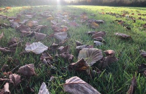 Ferienwohnung Mintbraun - Foto 50
