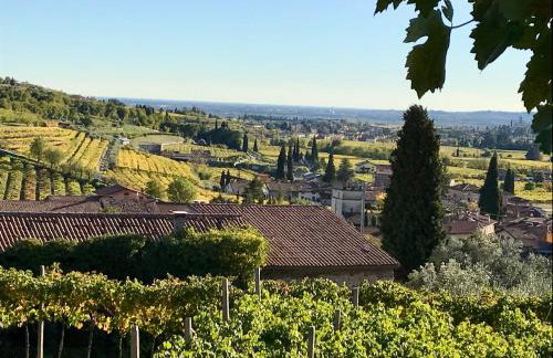 Corte Lavarini The Magic At Sight - Foto 60