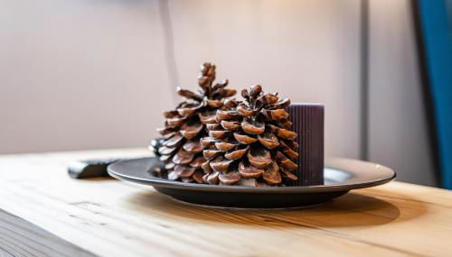 Chalet Ortles Apt ll - Foto 5