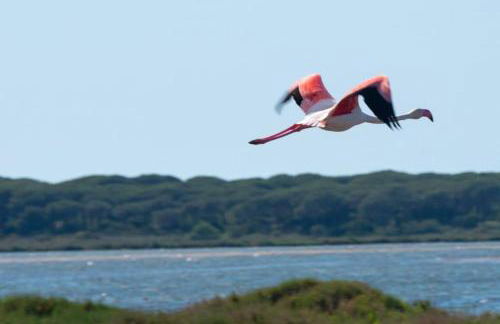 Casa Campedinese - Foto 36
