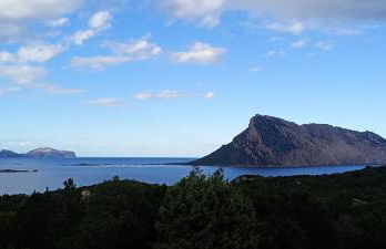 Flamingo's Home - Foto 15