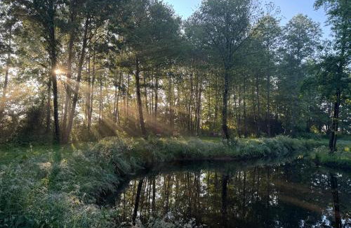 Krzywiec - Pasieka na Szlaku Kopernika - Foto 3