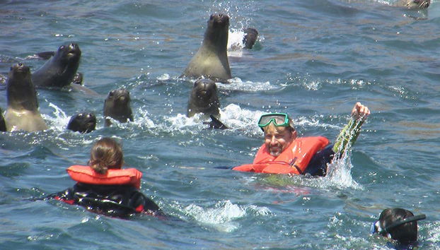 Palomino Islands Boat Trip - Foto 5