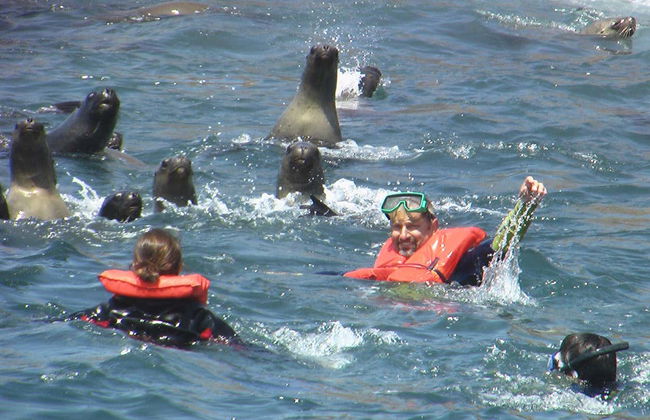 Palomino Islands Boat Trip - Foto 5