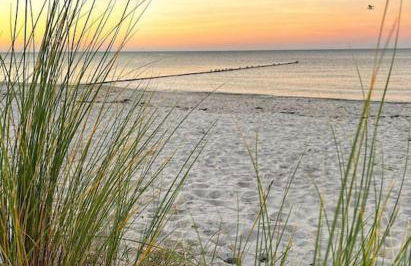 Ferienwohnung für Naturliebhaber - Foto 28