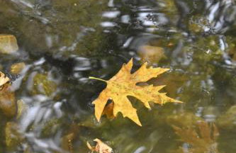 Capris Rustic Ηouse with Mountain View - Foto 47