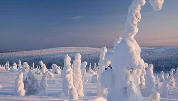 Hike through Riisitunturi National Park