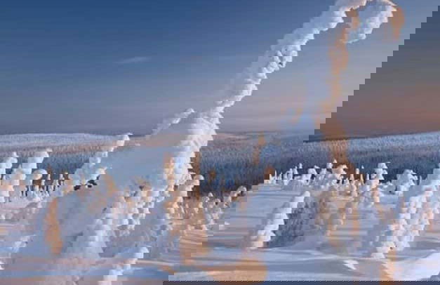 Trilha pelo Parque Nacional de Riisitunturi - Foto 6