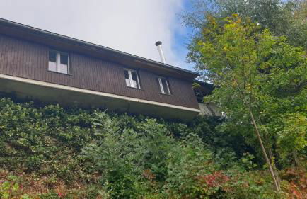 Ferienwohnung auf dem Bückle - Foto 1