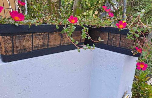 Relax 523 - Photo 30