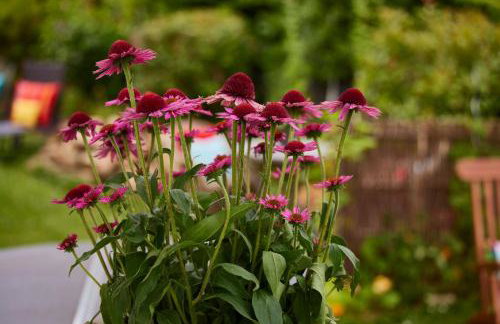 Winzerlodge, Wohnung Chardonnay - Foto 10