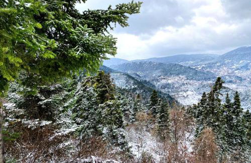 Pavliani House - Foto 50