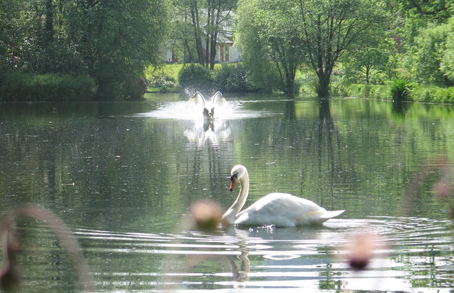 Lake Country House Hotel & Spa - Foto 42