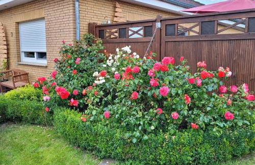 FH Ostfriesland to Huus, zw. Emden und Greetsiel - Foto 15