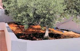 BOYZIANAS home - Foto 27